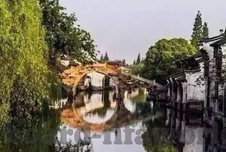 富力足球比分结果-富力足球比分结果，赛场风云背后的数据与故事