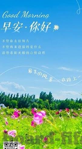 球体足球比分网-球体足球比分网，足球迷的实时数据乐园